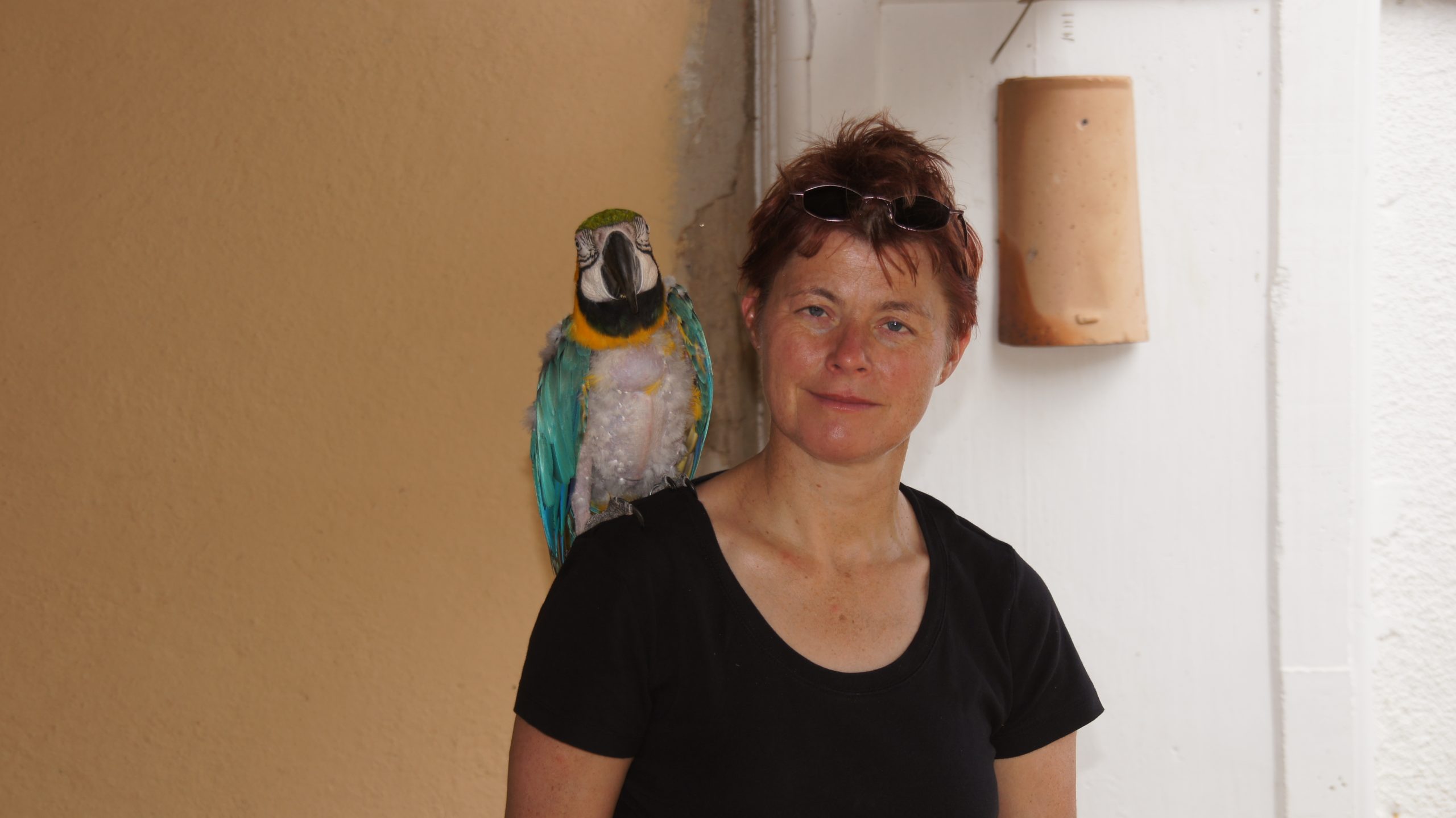 Auf der Schulter bei Chrischi